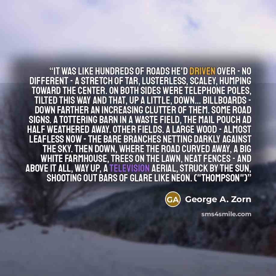 “It was like hundreds of roads he'd driven over - no different - a stretch of tar, lusterless, scaley, humping toward the center. On both sides were telephone poles, tilted this way and that, up a little, down... Billboards - down farther an increasing clutter of them. Some road signs. A tottering…” quote by George A. Zorn