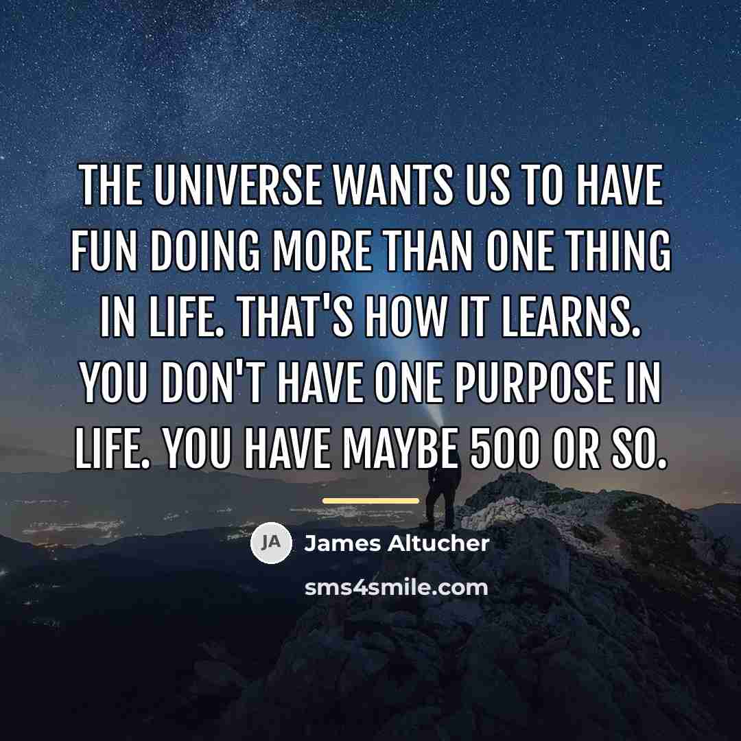 “The universe wants us to have fun doing more than…” quote by James Altucher