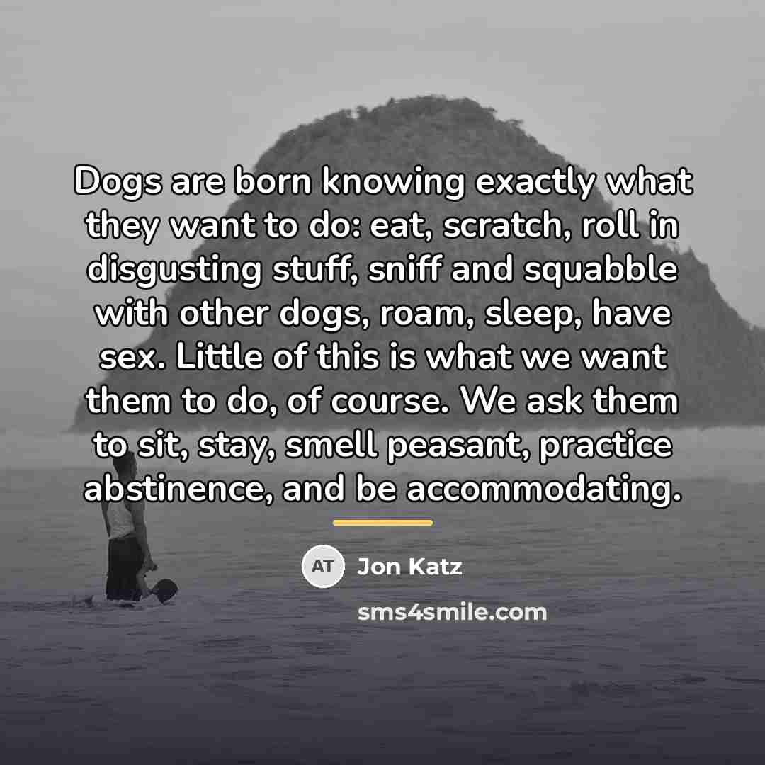 “Dogs are born knowing exactly what they want to do:…” quote by Jon Katz