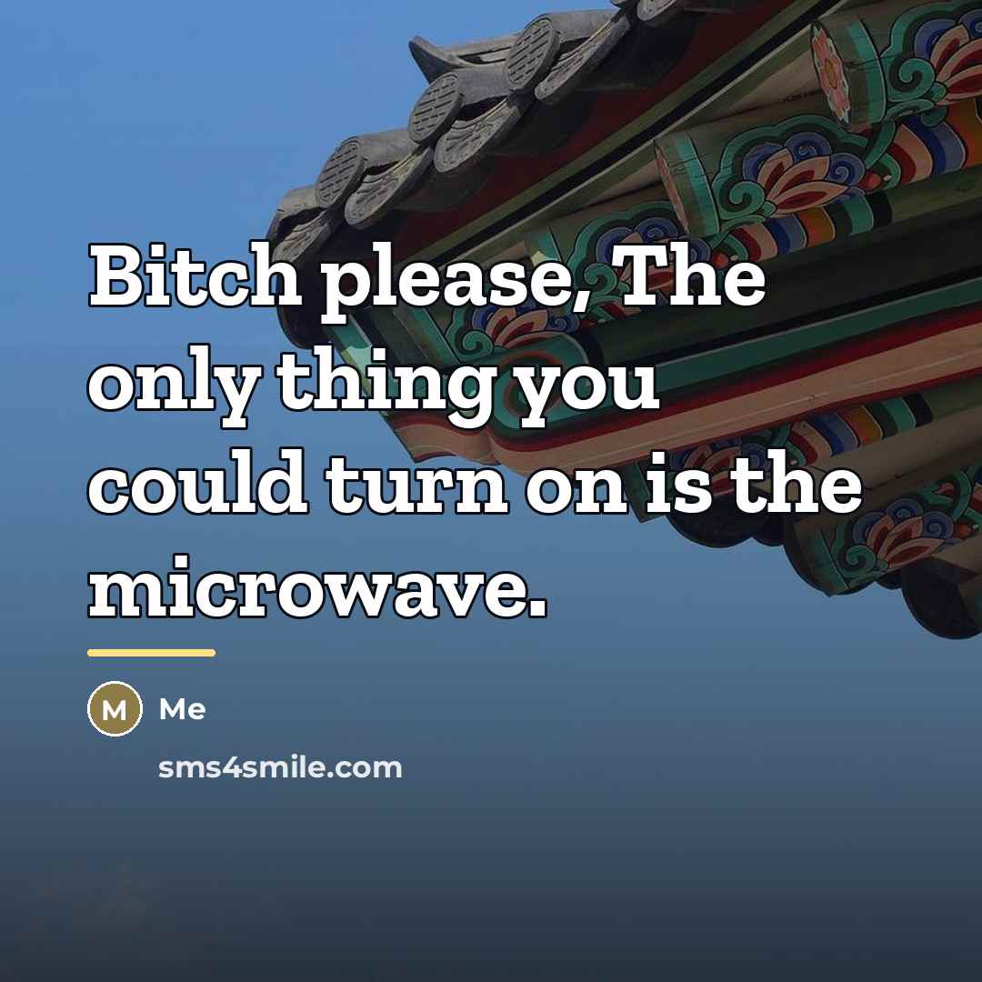 “Bitch please, The only thing you could turn on is…” quote by Me