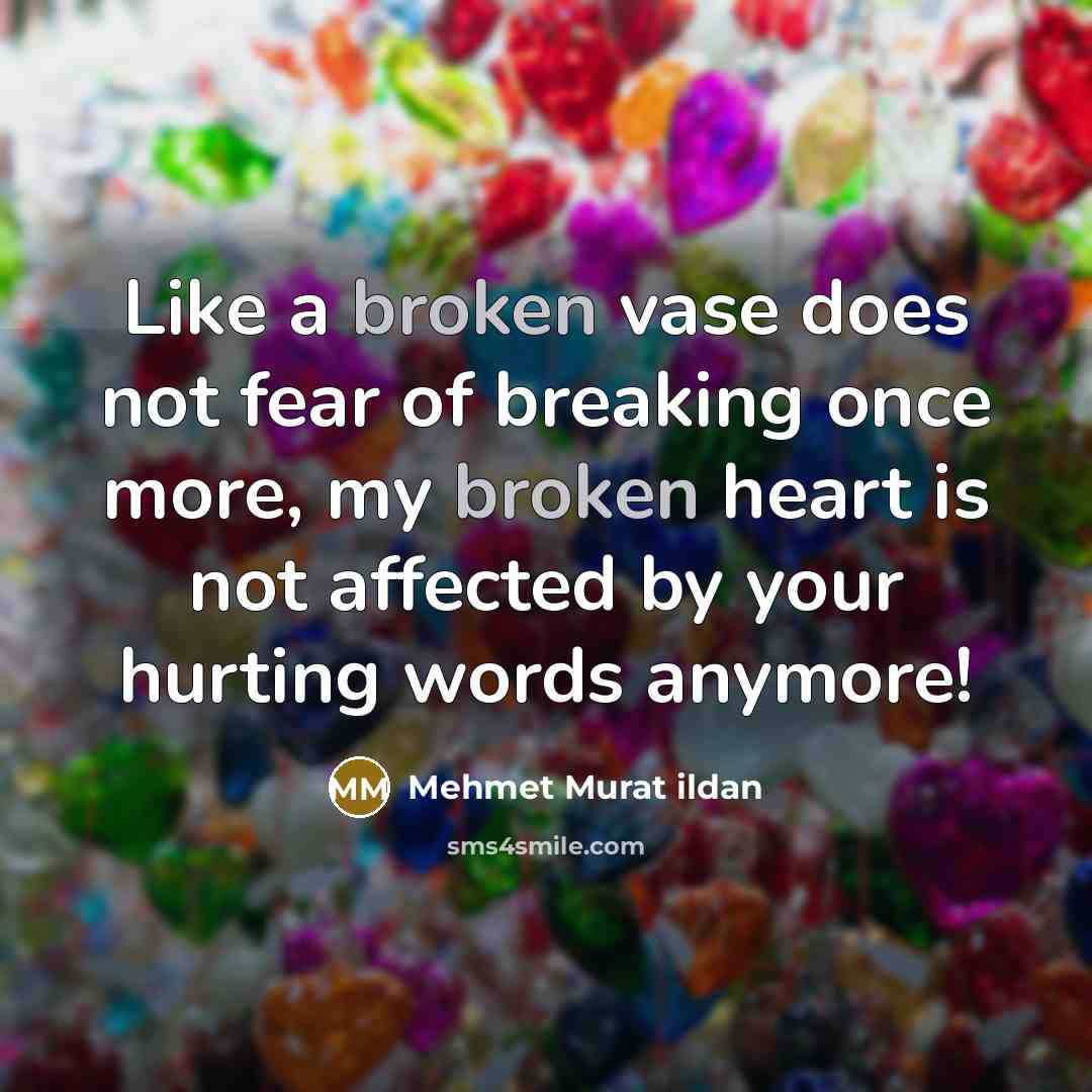“Like a broken vase does not fear of breaking once…” quote by Mehmet Murat Ildan