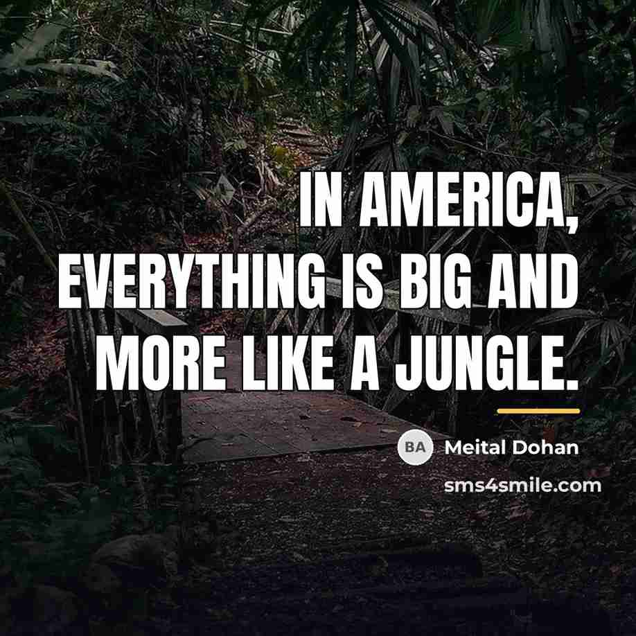 “In America, everything is big and more like a jungle.…” quote by Meital Dohan