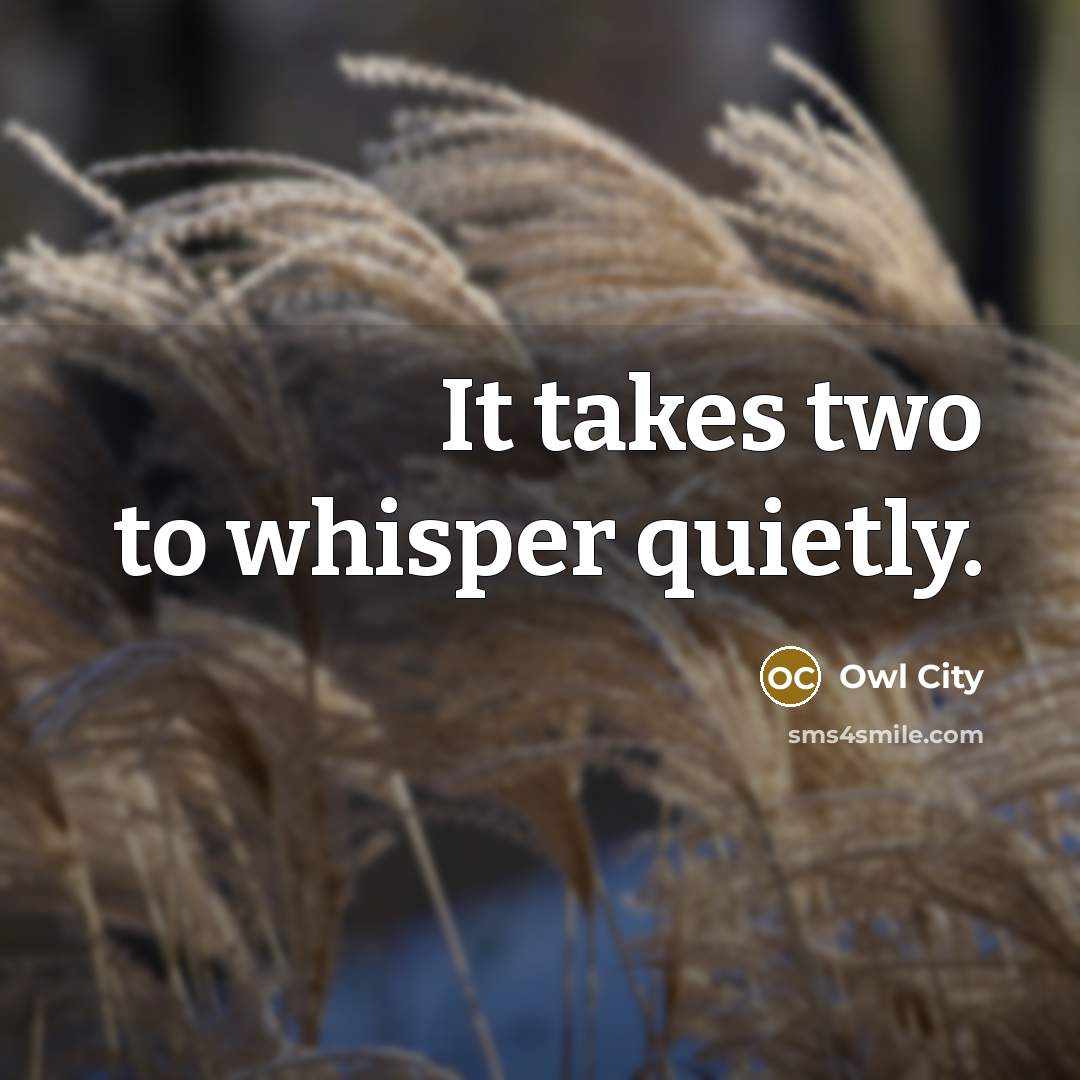 “It takes two to whisper quietly.” quote by Owl City