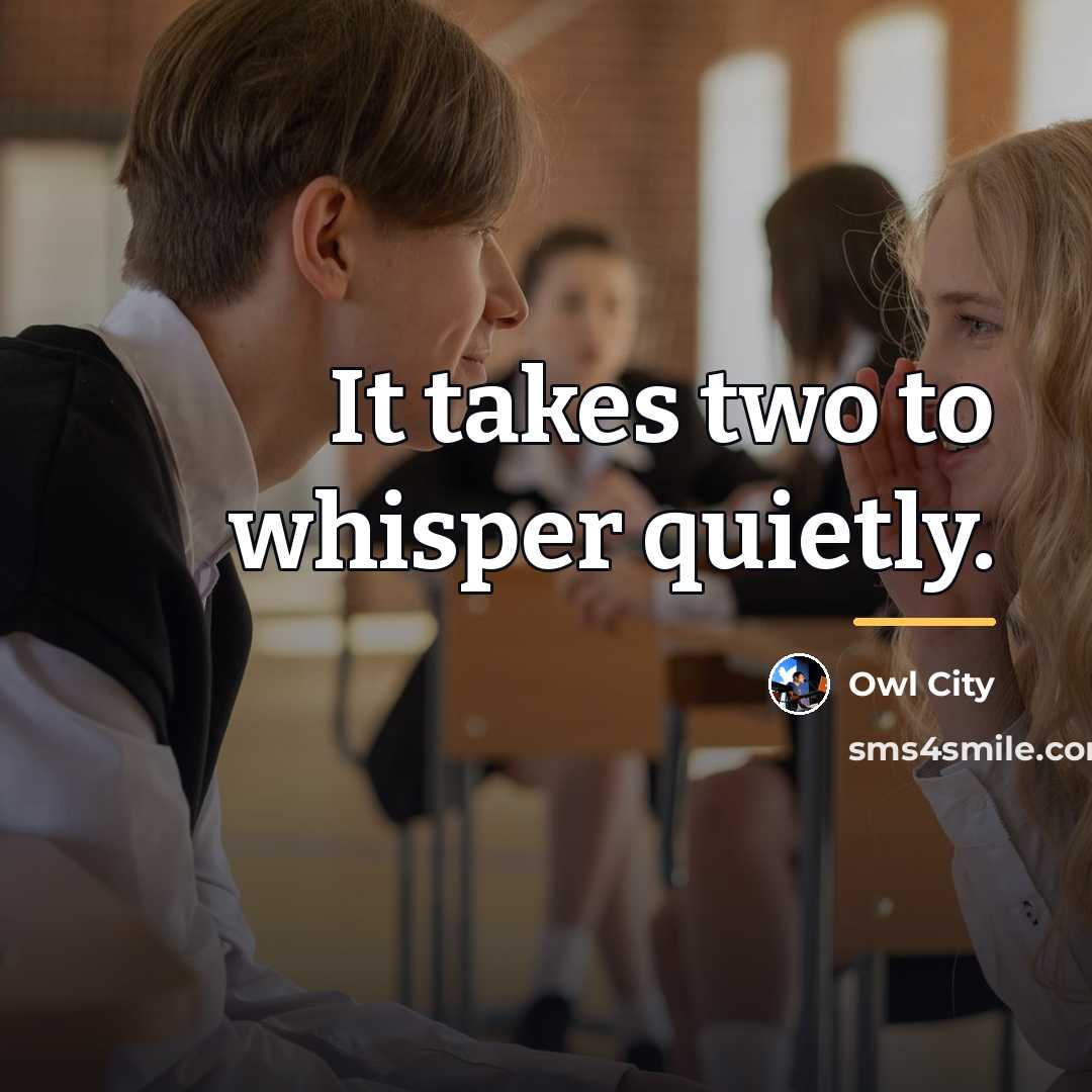 “It takes two to whisper quietly.…” quote by Owl City