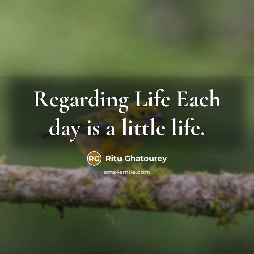 “Regarding Life Each day is a little life.…” quote by Ritu Ghatourey