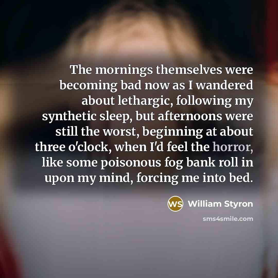 “The mornings themselves were becoming bad now as I wandered…” quote by William Styron