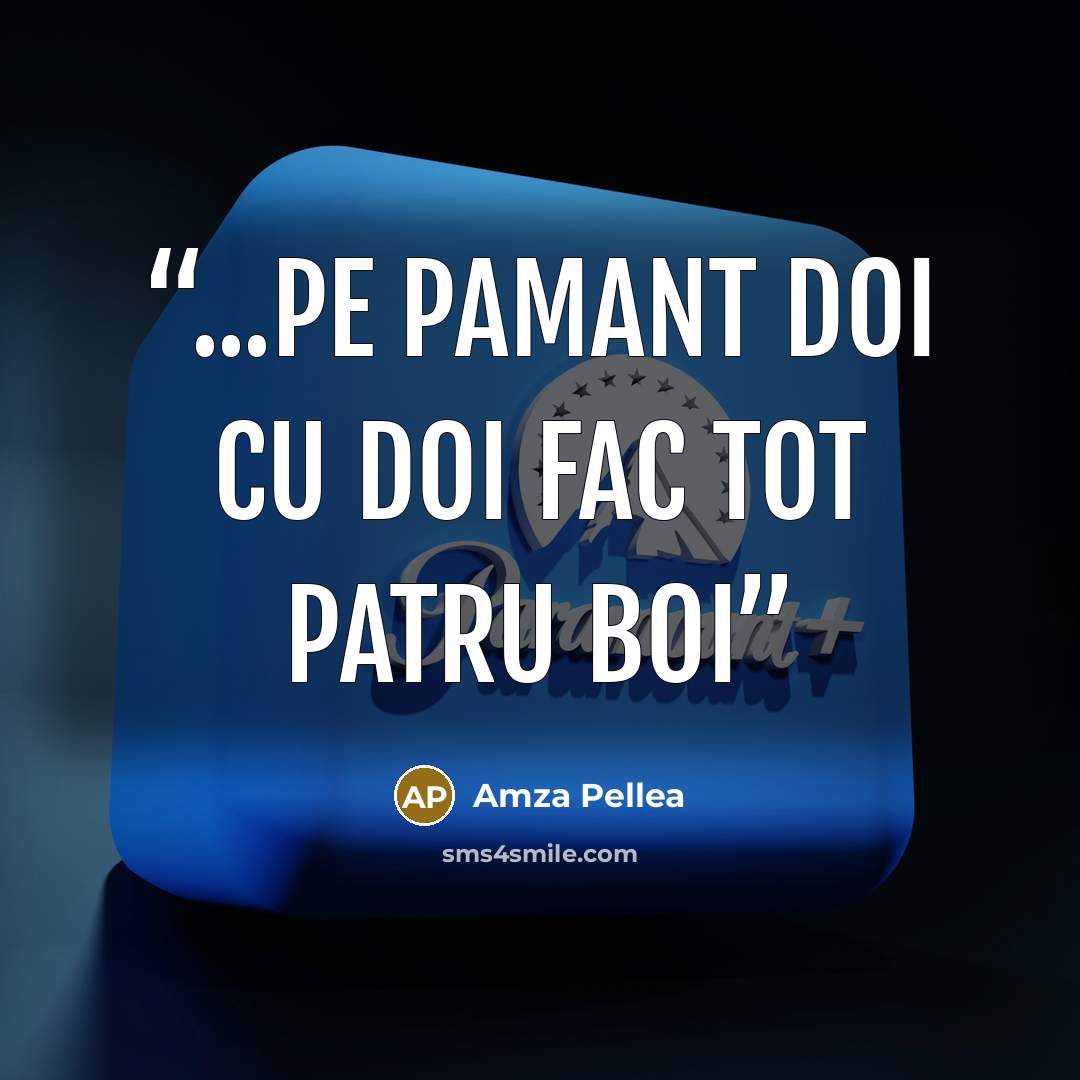 “...pe pamant doi cu doi fac tot patru boi” quote by Amza Pellea