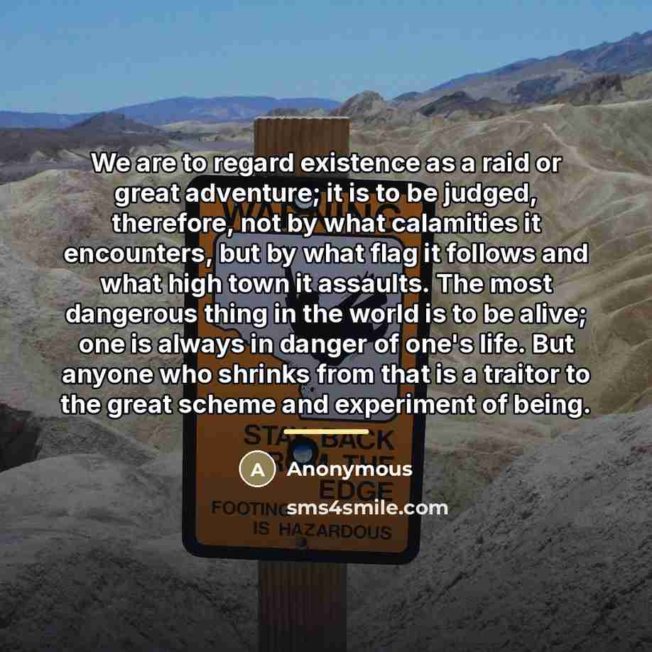 “We are to regard existence as a raid or great…” quote by Anonymous
