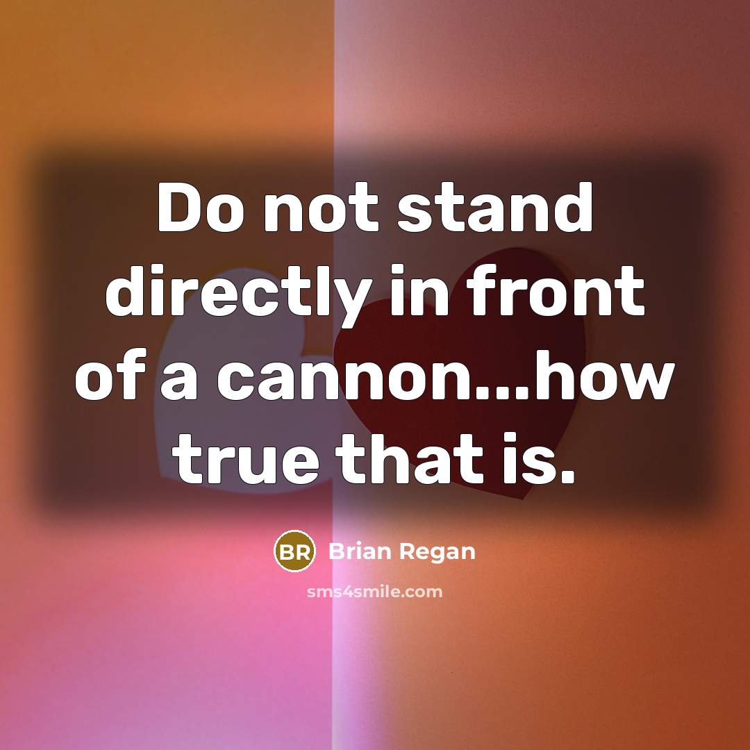 “Do not stand directly in front of a cannon...how true…” quote by Brian Regan