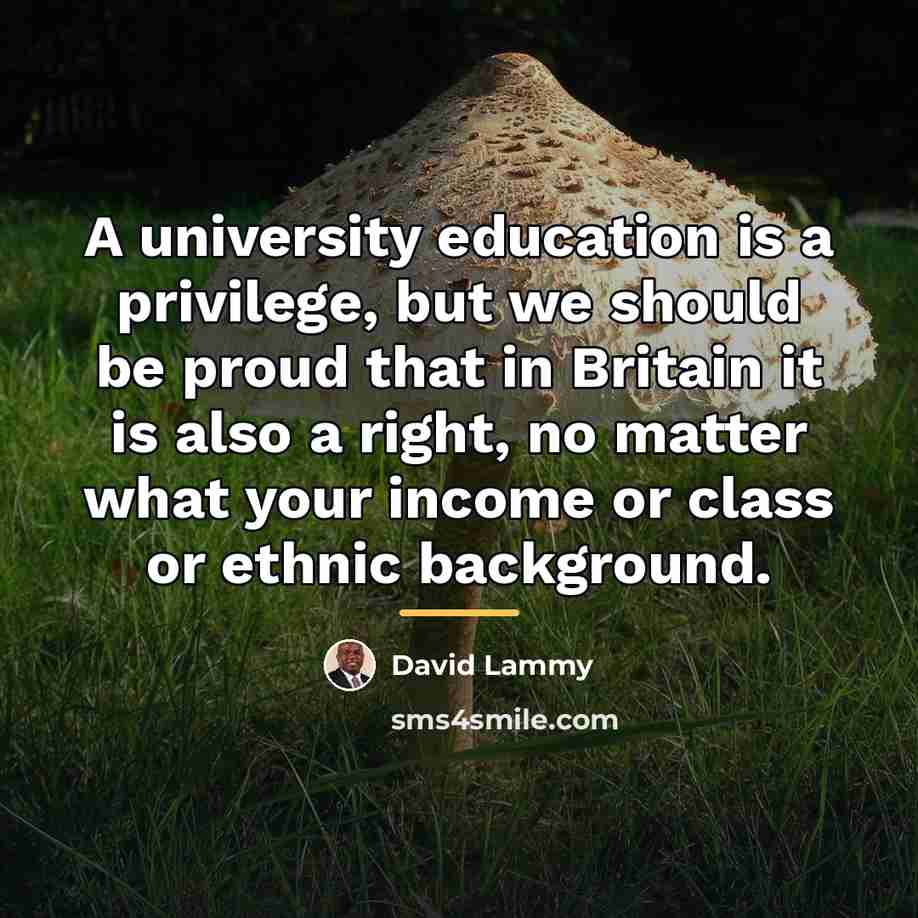 “A university education is a privilege, but we should be…” quote by David Lammy