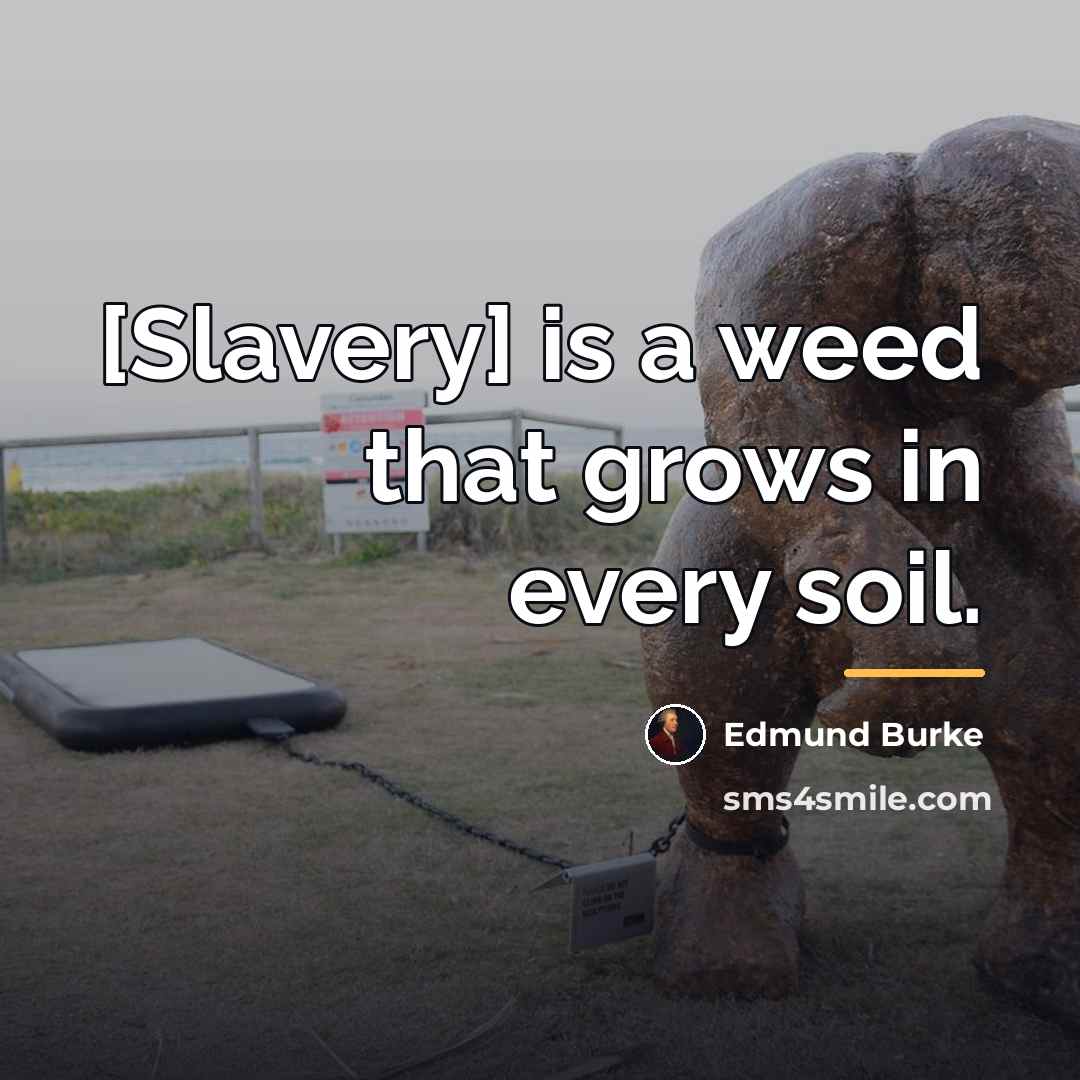 “[Slavery] is a weed that grows in every soil.…” quote by Edmund Burke