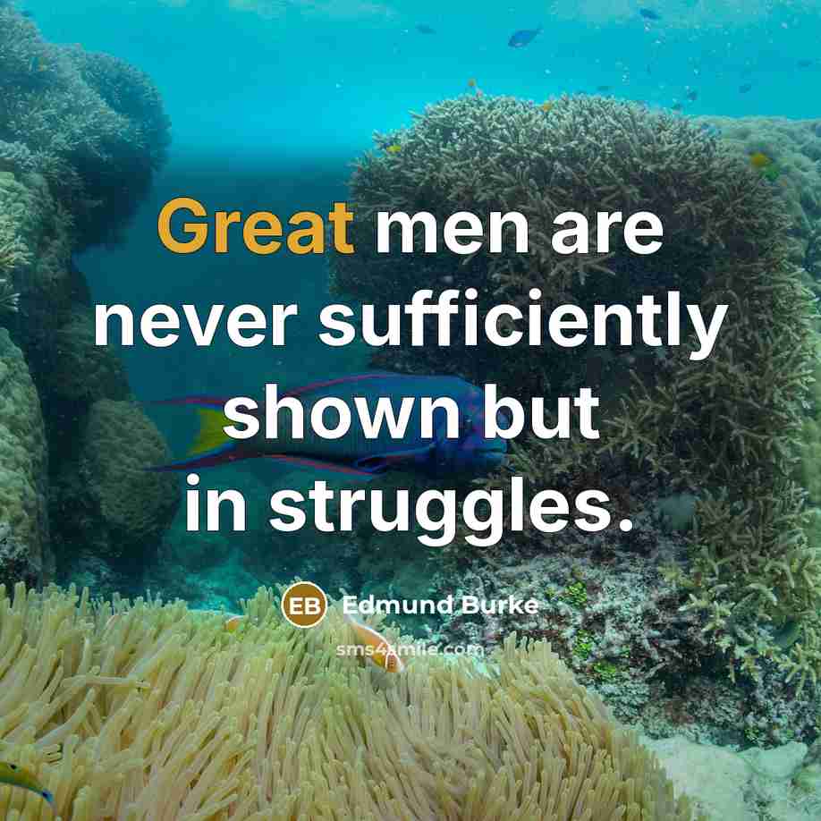 “Great men are never sufficiently shown but in struggles.…” quote by Edmund Burke