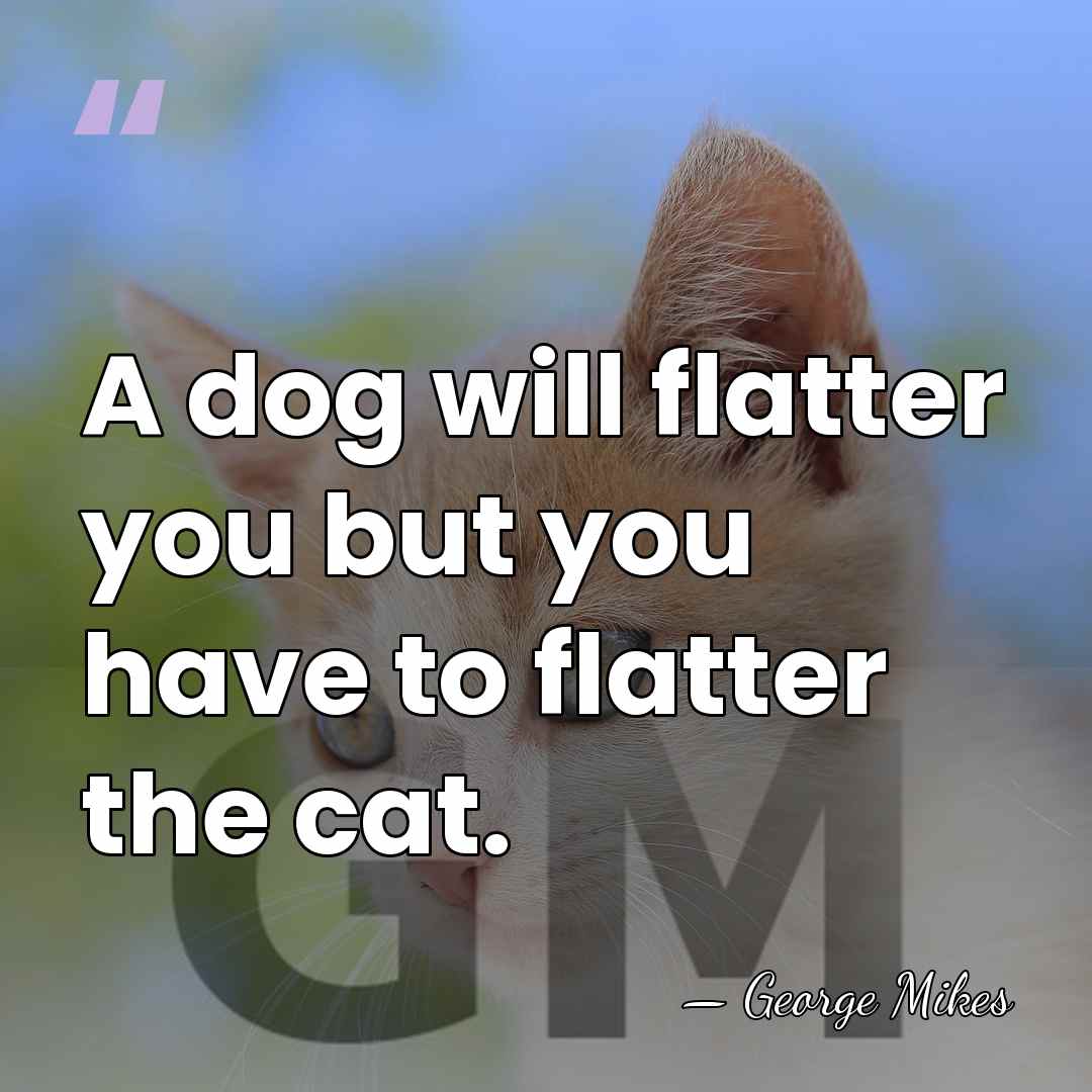 A dog will flatter you but you have to flatter the cat. - George Mikes