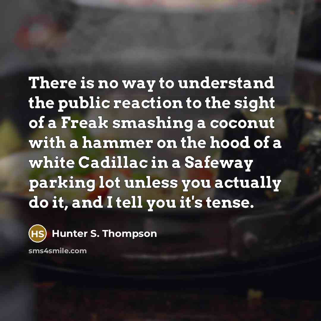 “There is no way to understand the public reaction to…” quote by Hunter S. Thompson