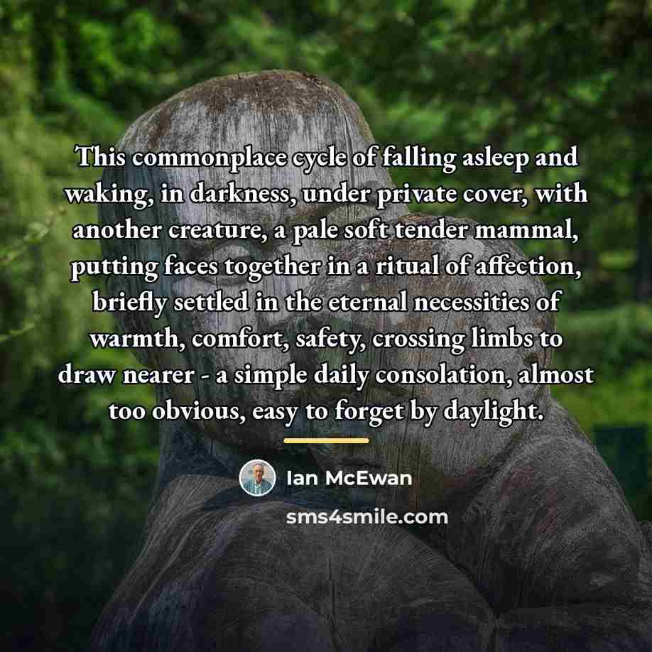 “This commonplace cycle of falling asleep and waking, in darkness,…” quote by Ian Mcewan
