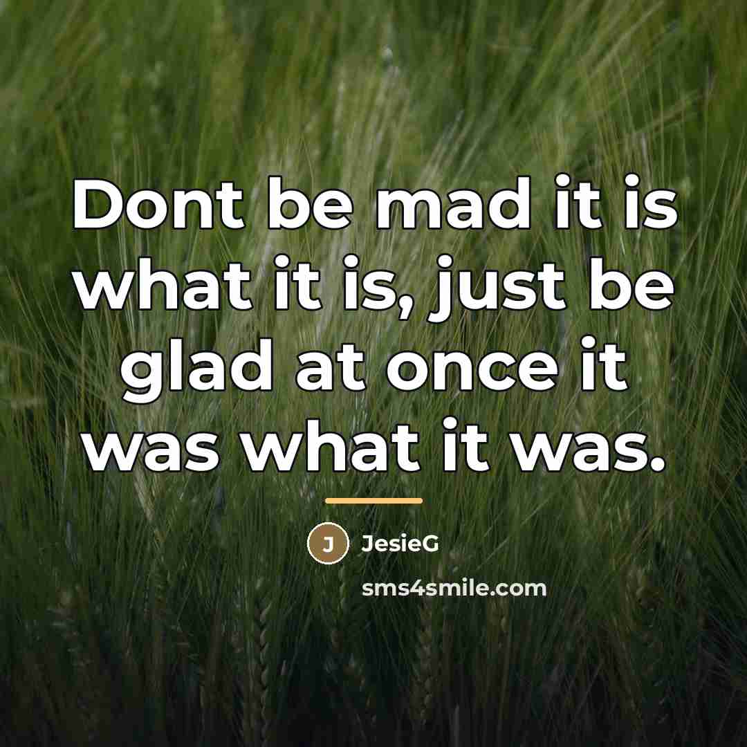 “Dont be mad it is what it is, just be…” quote by JesieG