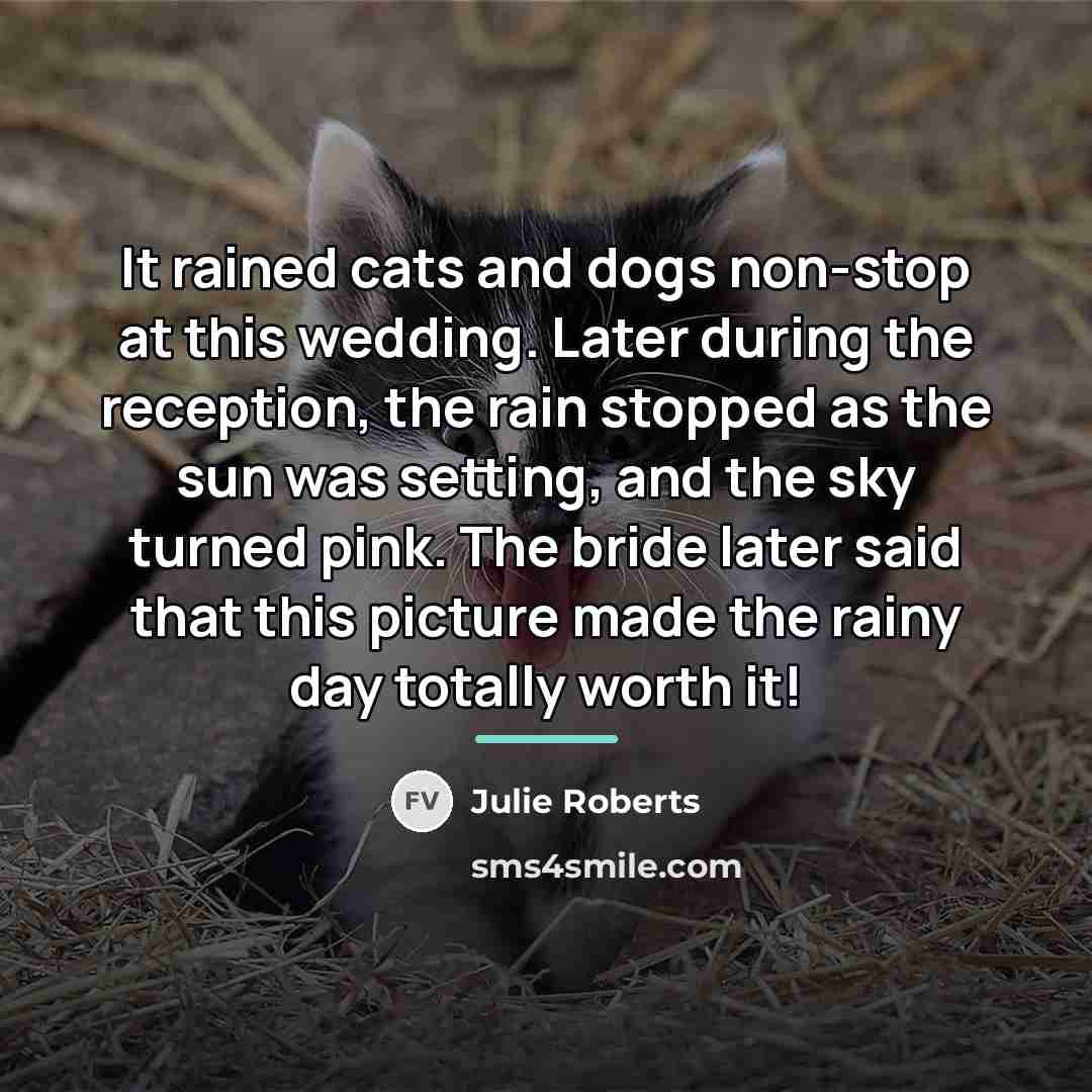 “It rained cats and dogs non-stop at this wedding. Later…” quote by Julie Roberts