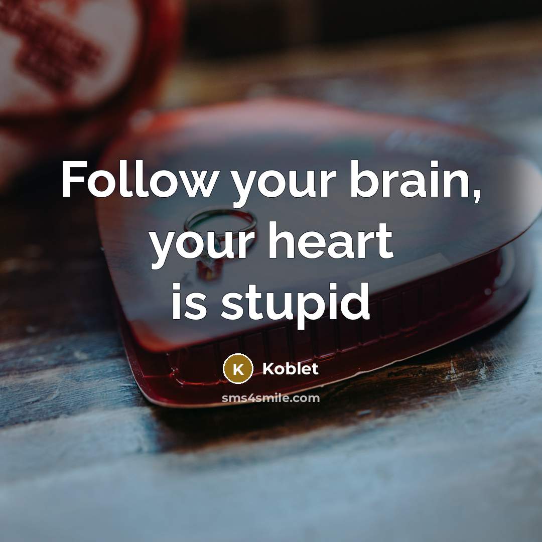 “Follow your brain, your heart is stupid…” quote by Koblet