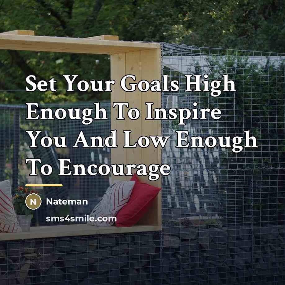 “Set Your Goals High Enough To Inspire You And Low…” quote by Nateman
