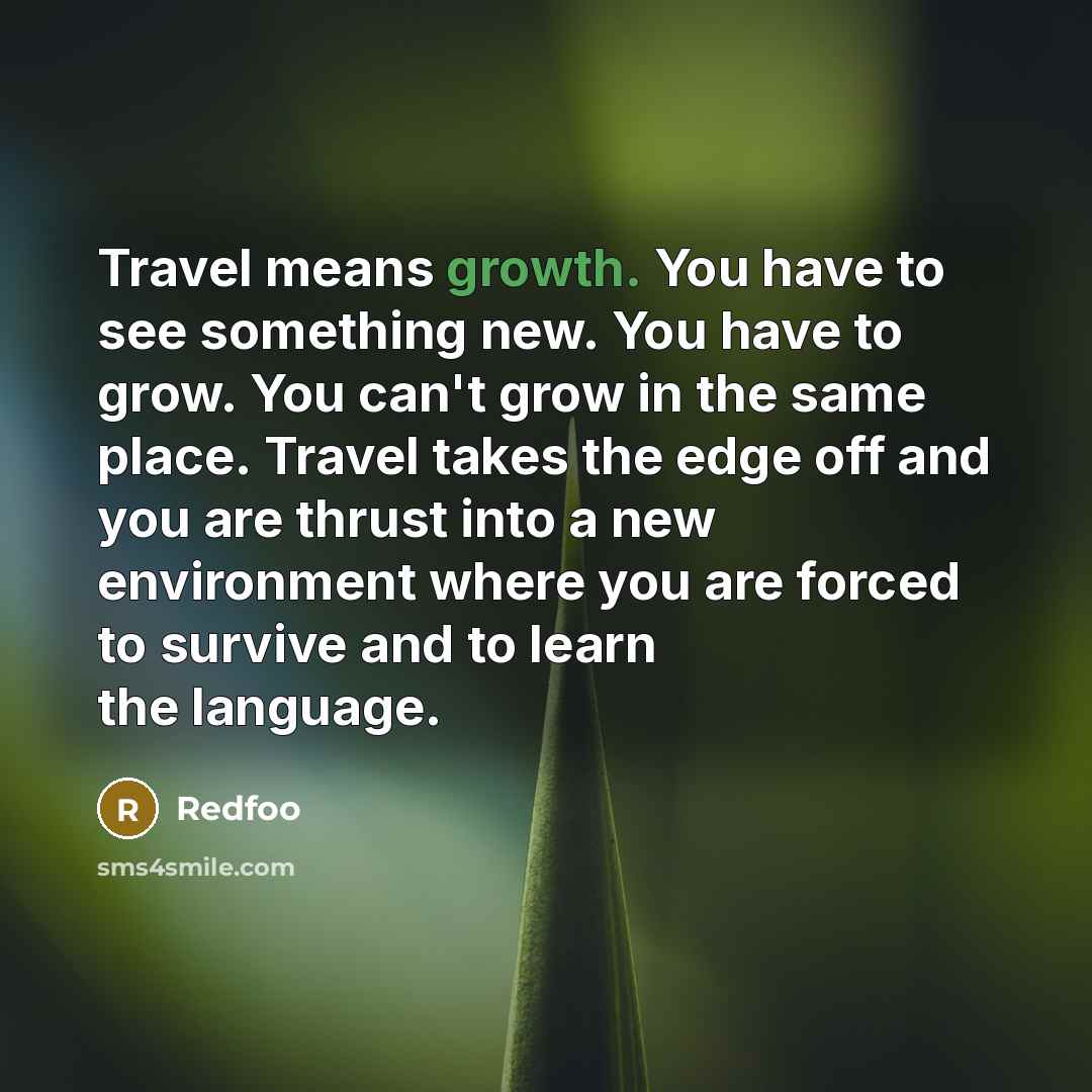 “Travel means growth. You have to see something new. You…” quote by Redfoo