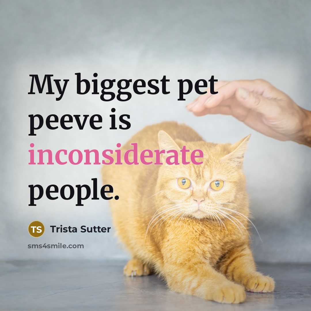 “My biggest pet peeve is inconsiderate people.” quote by Trista Sutter