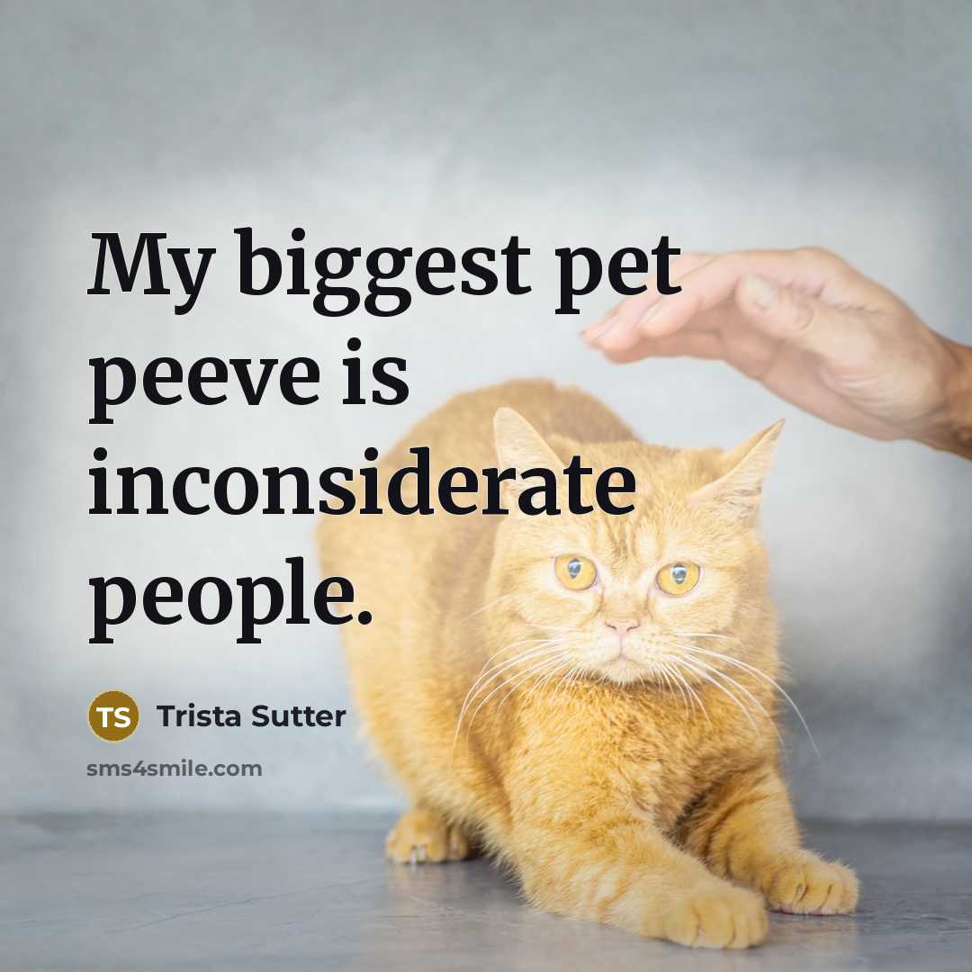 “My biggest pet peeve is inconsiderate people.…” quote by Trista Sutter
