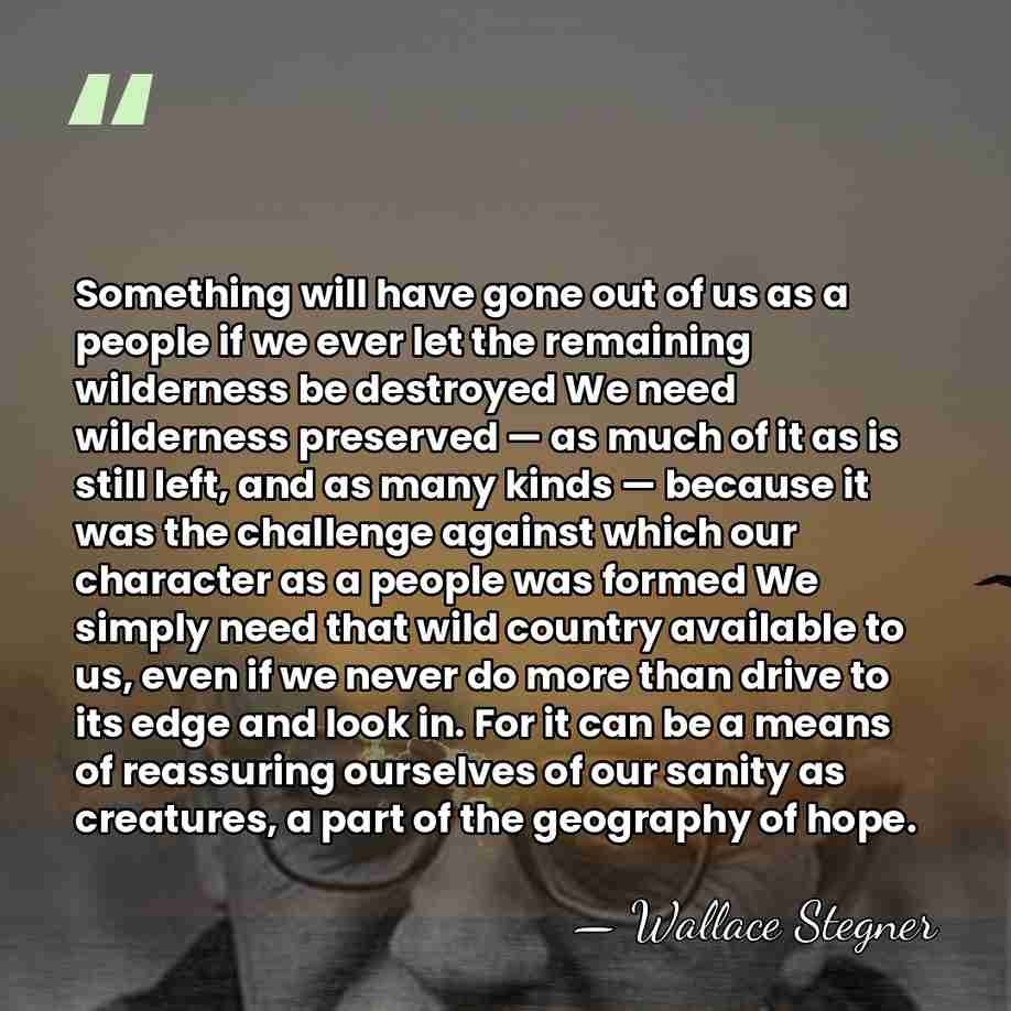 Something will have gone out of us as a people if we&hellip; - Wallace Stegner