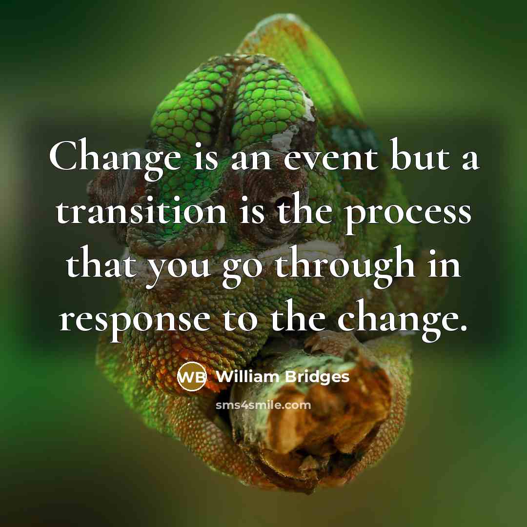 “Change is an event but a transition is the process…” quote by William Bridges