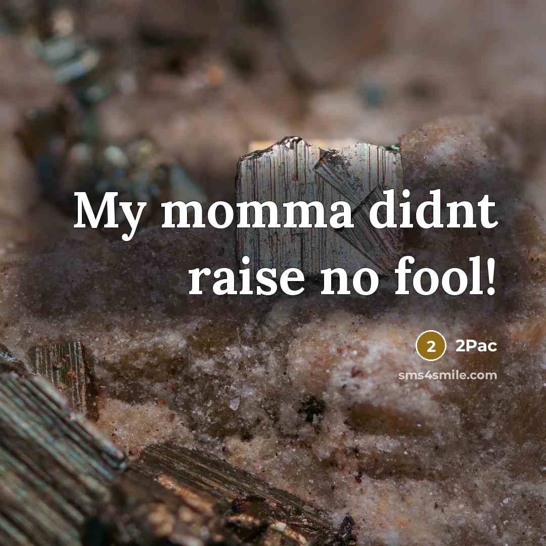 “My momma didnt raise no fool!…” quote by 2pac