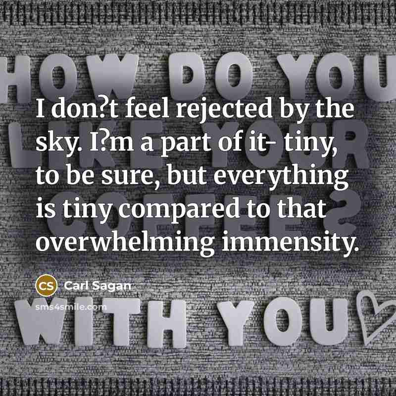 “I don?t feel rejected by the sky. I?m a part…” quote by Carl Sagan