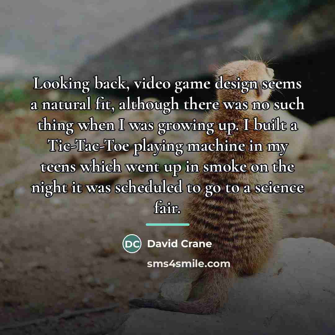 “Looking back, video game design seems a natural fit, although…” quote by David Crane