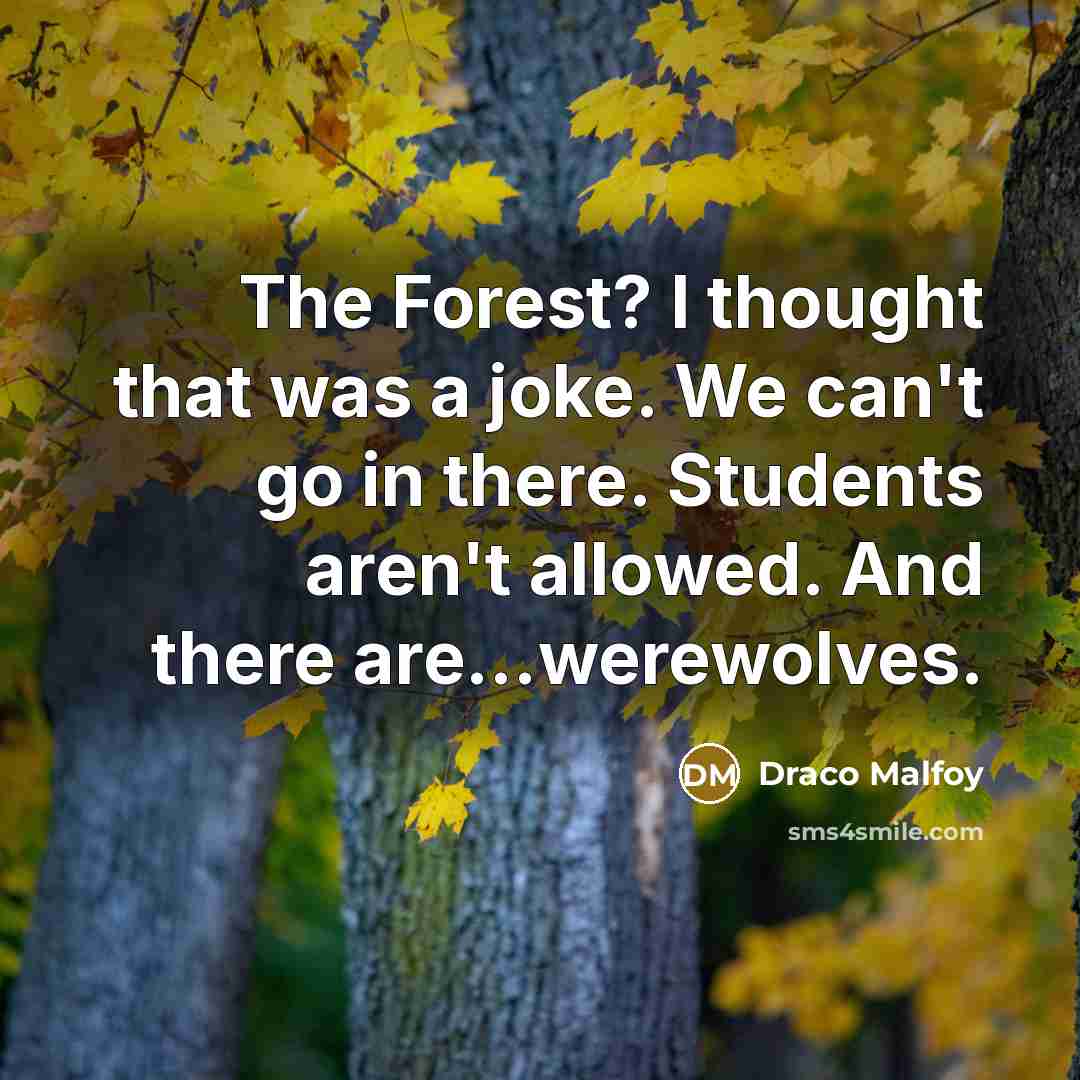 “The Forest? I thought that was a joke. We can't…” quote by Draco Malfoy