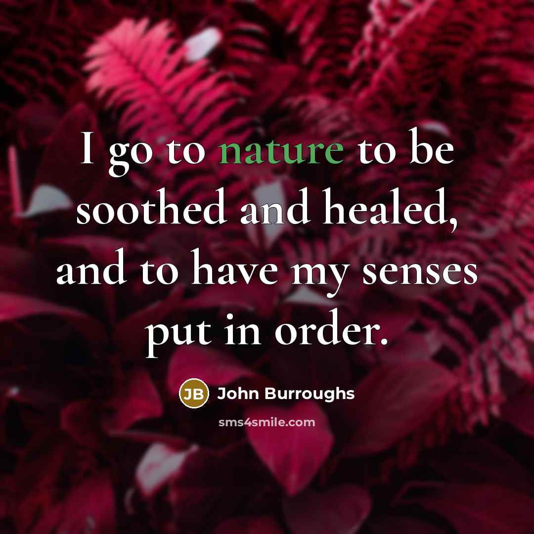 “I go to nature to be soothed and healed, and…” quote by John Burroughs