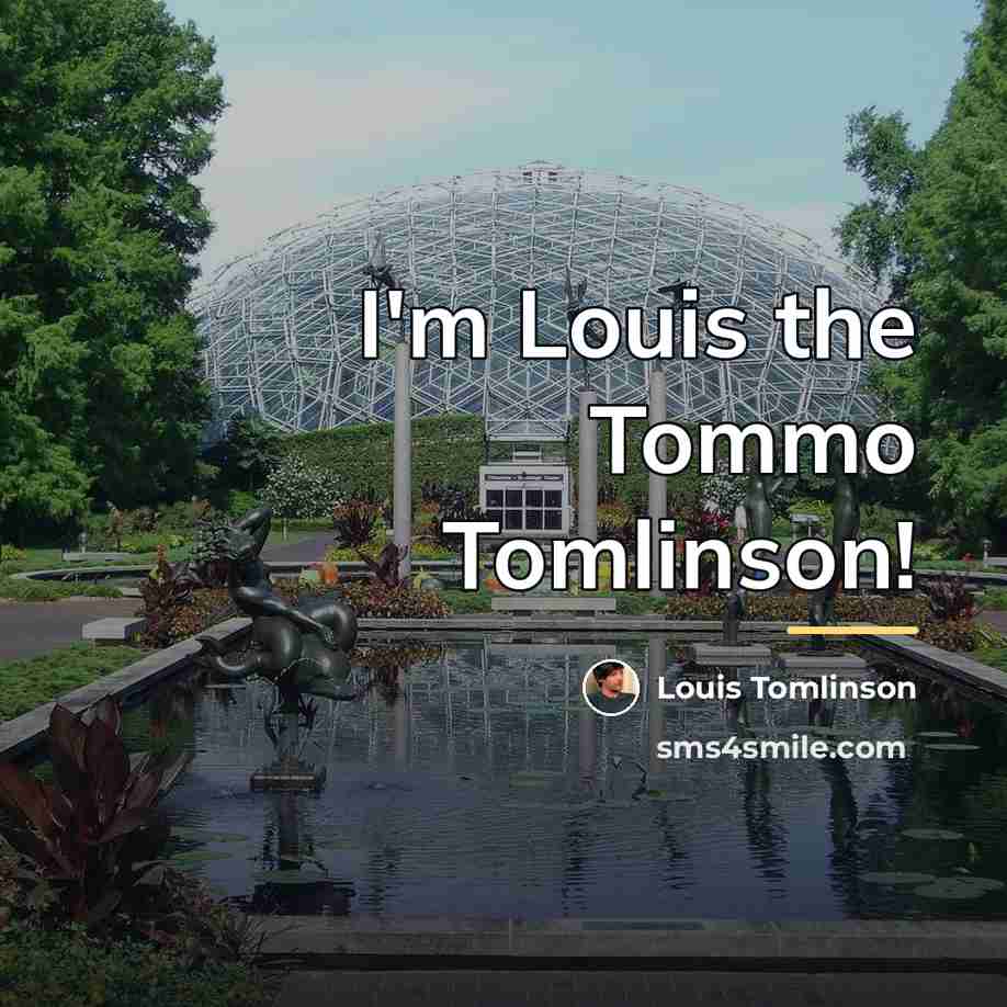 “I'm Louis the Tommo Tomlinson!…” quote by Louis Tomlinson