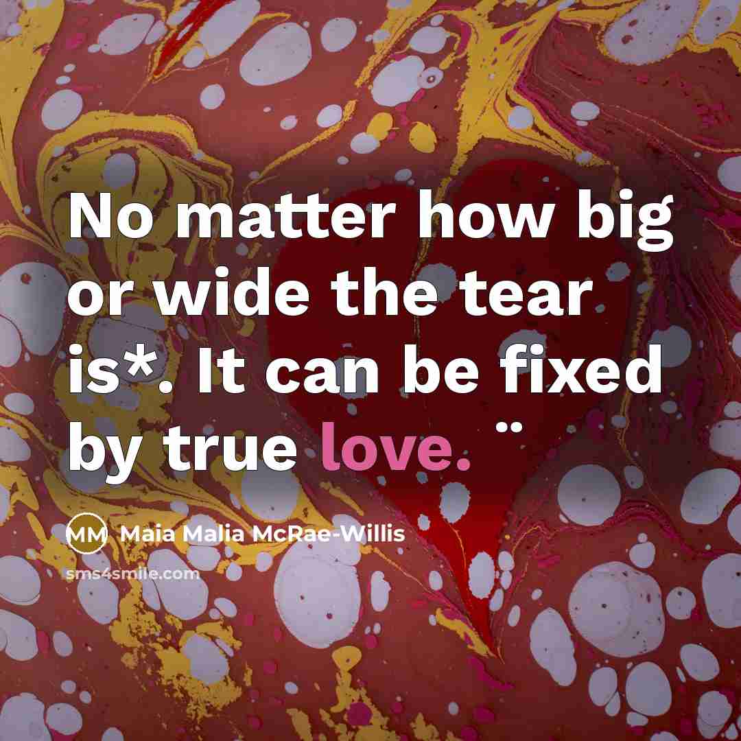 “No matter how big or wide the tear is*. It…” quote by Maia Malia McRae-Willis