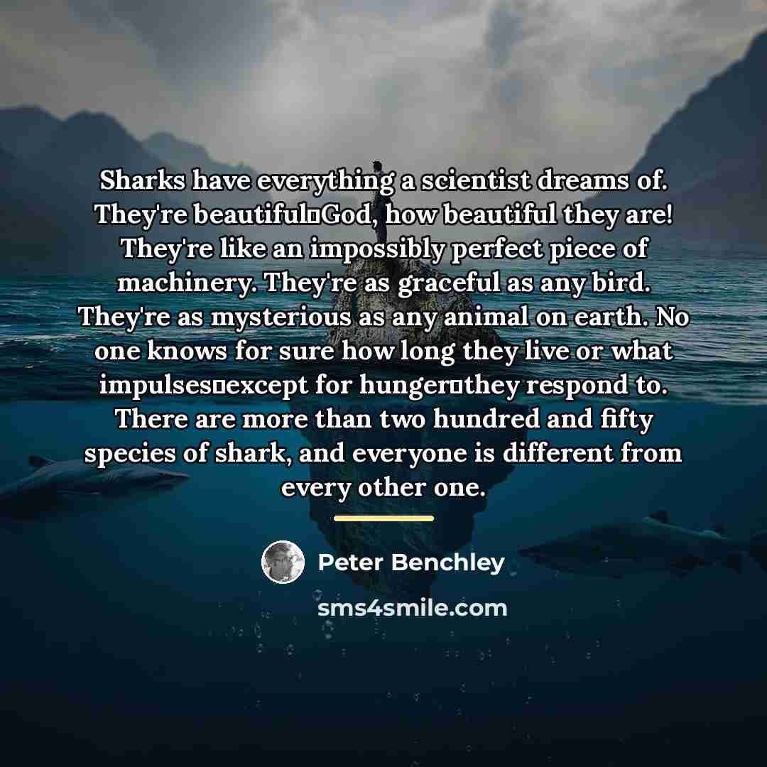 “Sharks have everything a scientist dreams of. They're beautiful―God, how…” quote by Peter Benchley