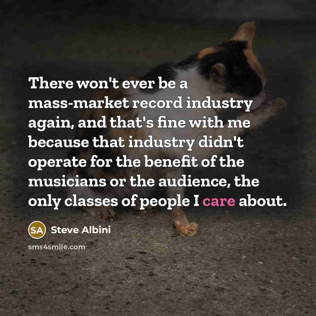 “There won't ever be a mass-market record industry again, and…” quote by Steve Albini