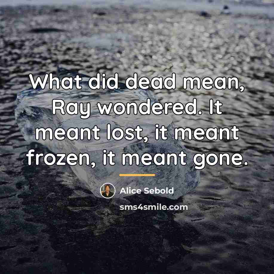 “What did dead mean, Ray wondered. It meant lost, it…” quote by Alice Sebold