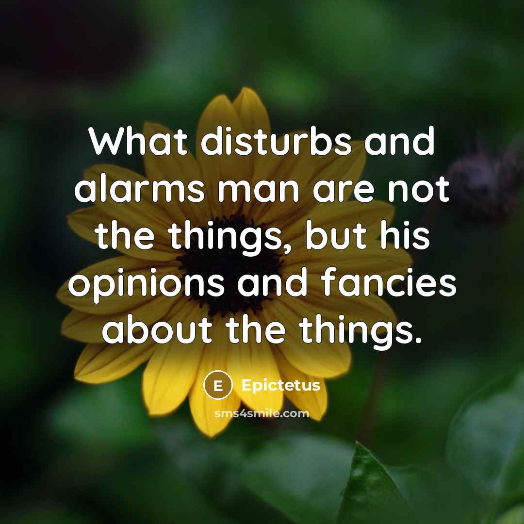 “What disturbs and alarms man are not the things, but…” quote by Epictetus