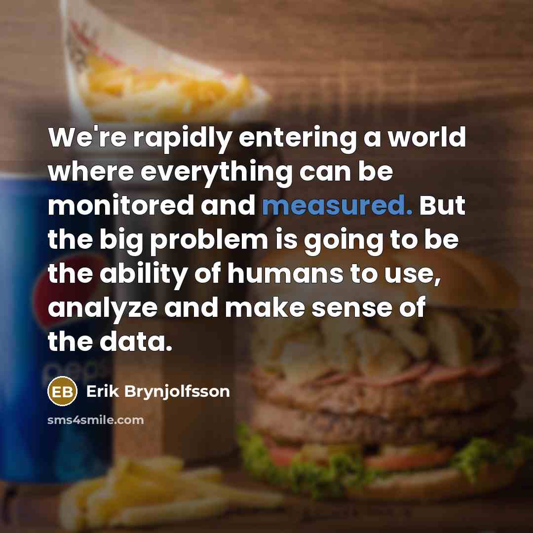“We're rapidly entering a world where everything can be monitored…” quote by Erik Brynjolfsson
