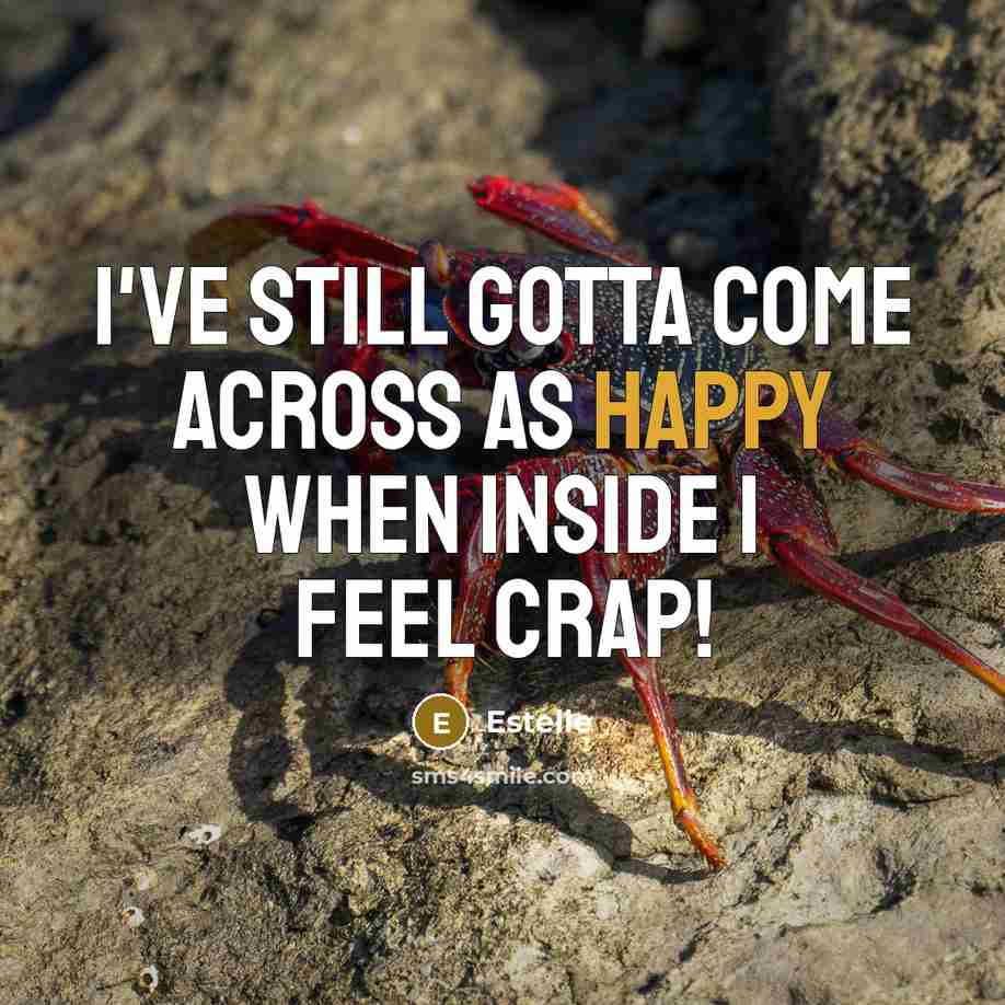 “I've still gotta come across as happy when inside I…” quote by Estelle