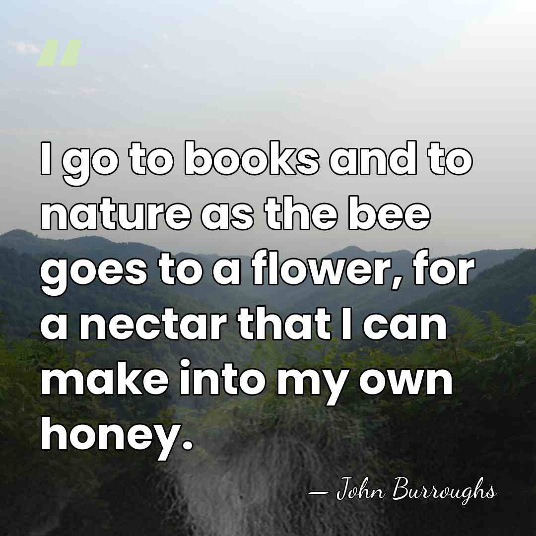 I go to books and to nature as the bee goes to&hellip; - John Burroughs