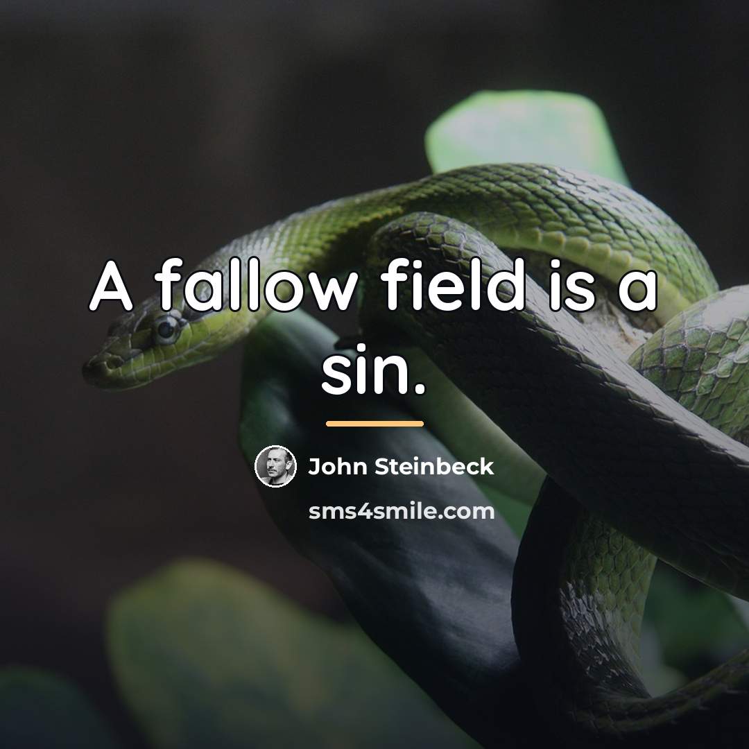 “A fallow field is a sin.…” quote by John Steinbeck
