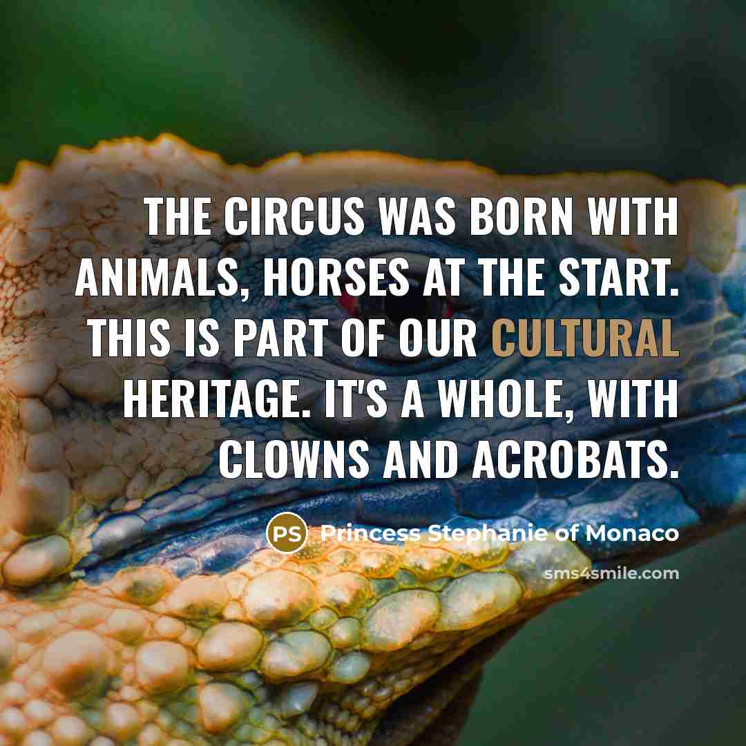 “The circus was born with animals, horses at the start.…” quote by Princess Stephanie of Monaco