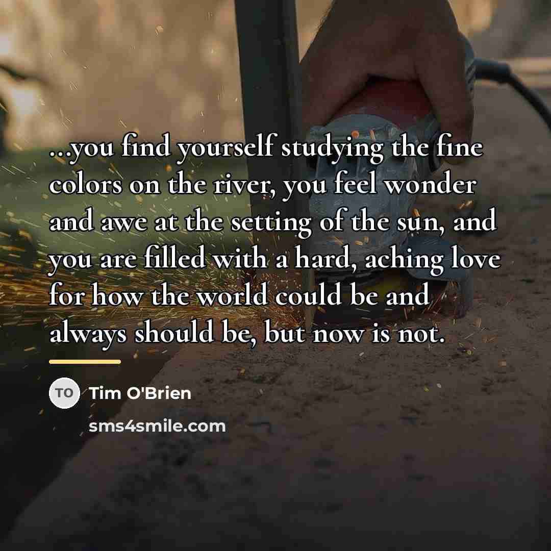 “...you find yourself studying the fine colors on the river,…” quote by Tim O'Brien