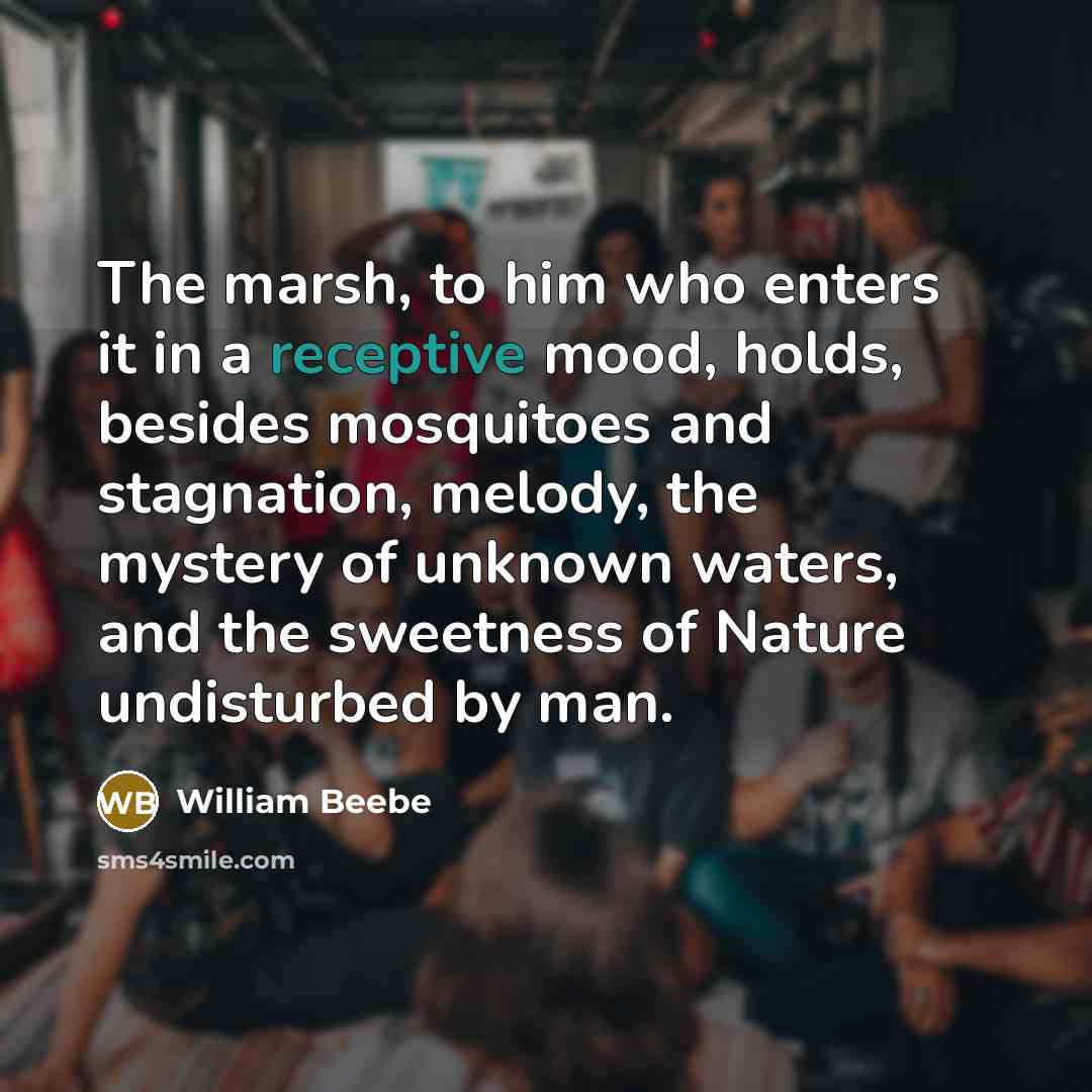 “The marsh, to him who enters it in a receptive…” quote by William Beebe