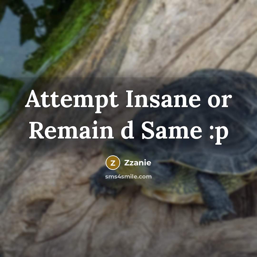 “Attempt Insane or Remain d Same :p” quote by Zzanie