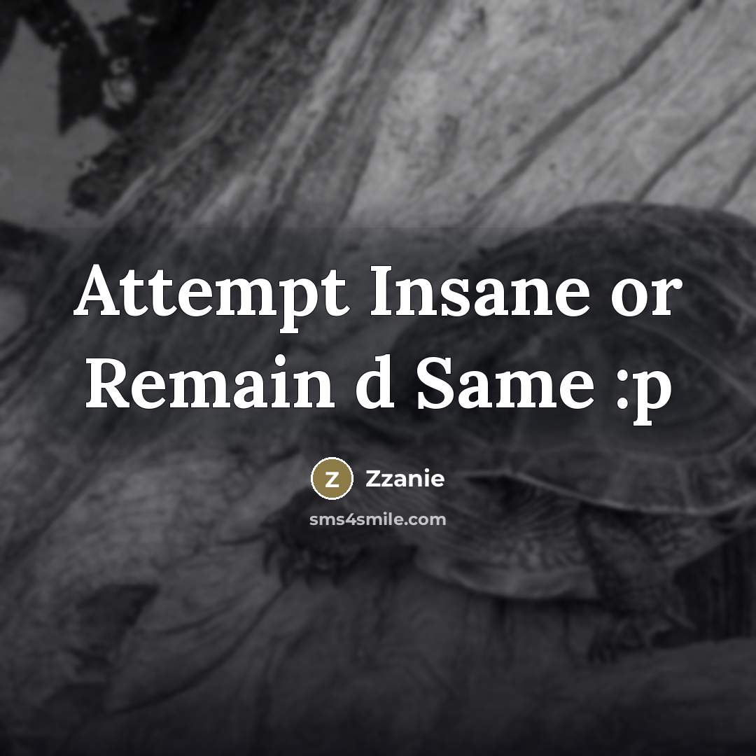 “Attempt Insane or Remain d Same :p…” quote by Zzanie