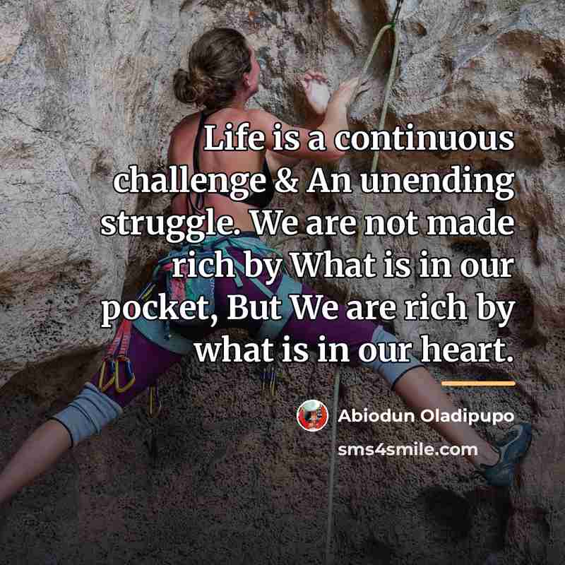 “Life is a continuous challenge & An unending struggle. We…” quote by Abiodun Oladipupo