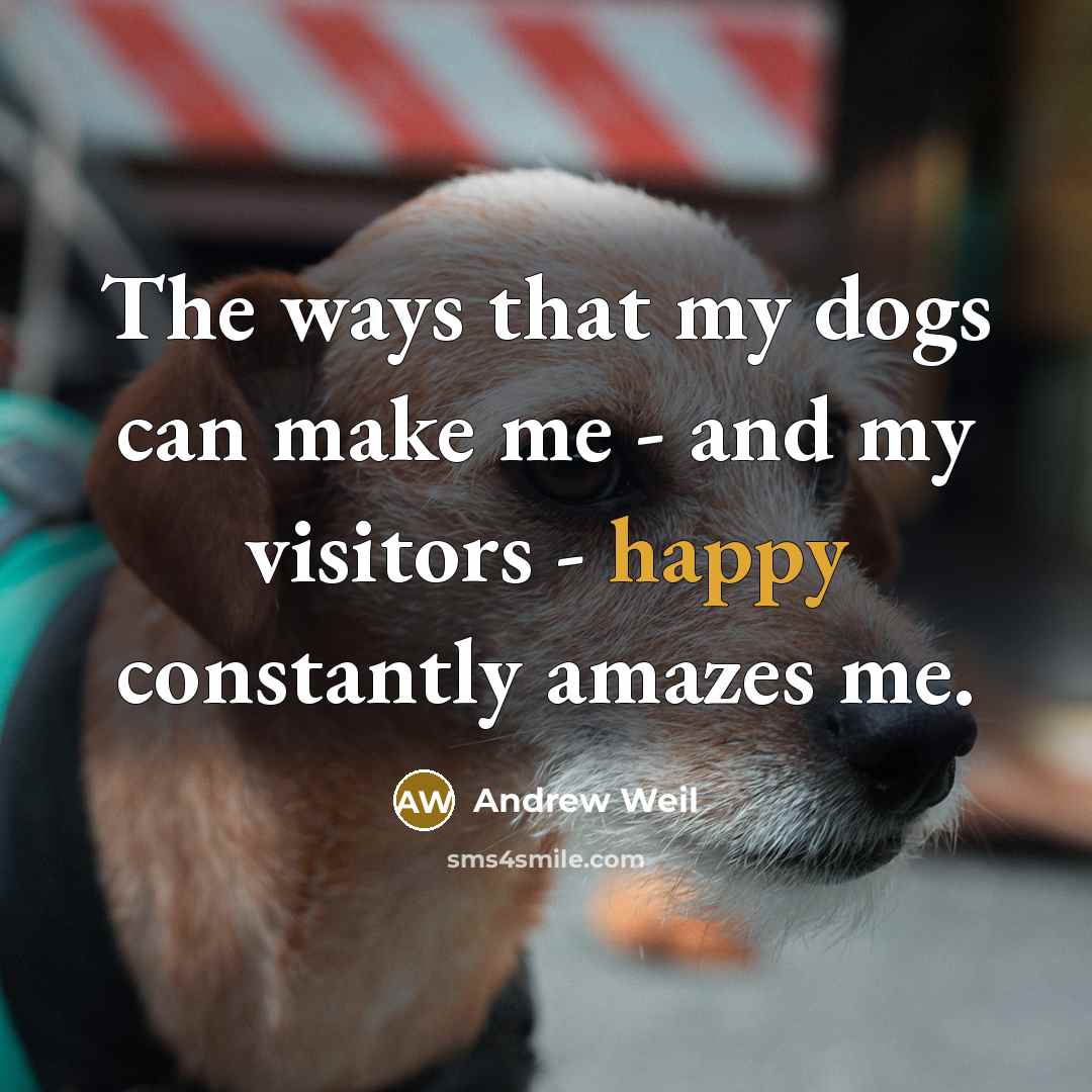 “The ways that my dogs can make me - and…” quote by Andrew Weil